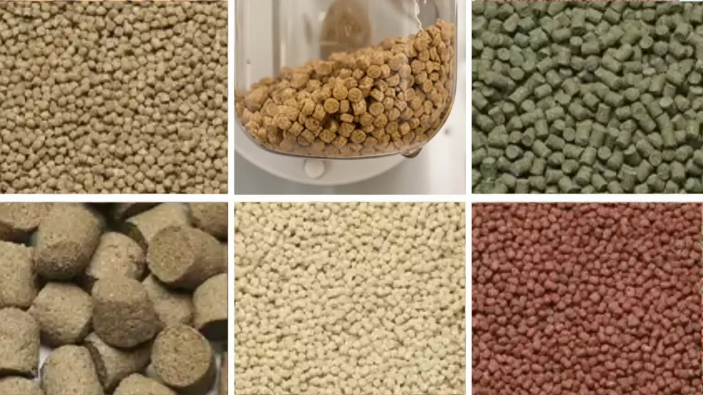 Premium fast-sinking special aquaculture feed pellets with consistent density and high pellet durability index.